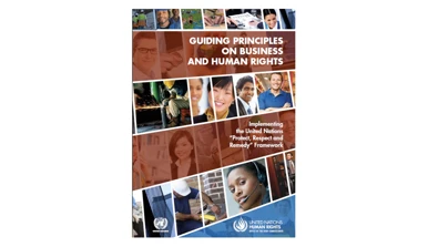 Guiding principles on business and human rights